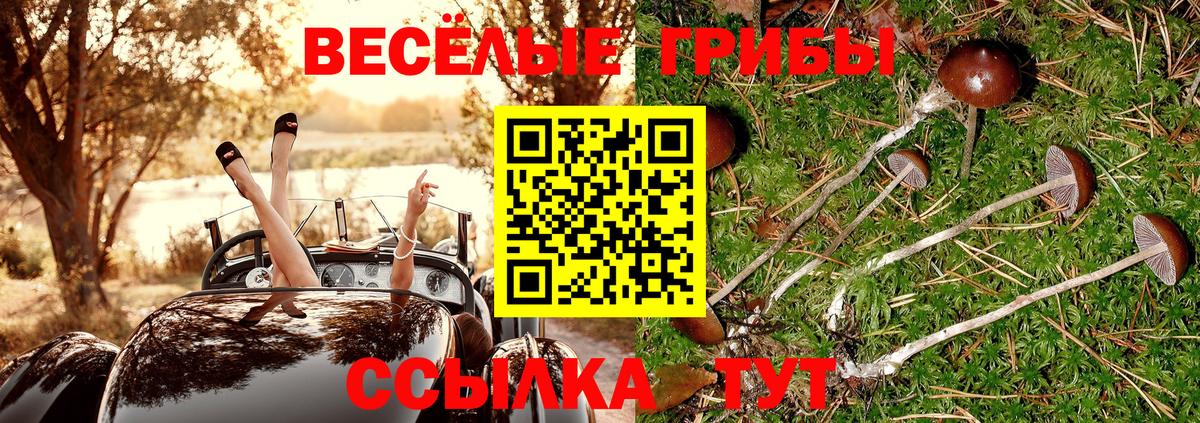 Псилоцибиновые грибы MAGIC MUSHROOMS  Вход с VPN  купить   Галлюциногенные грибы мухоморы  Ачинск 