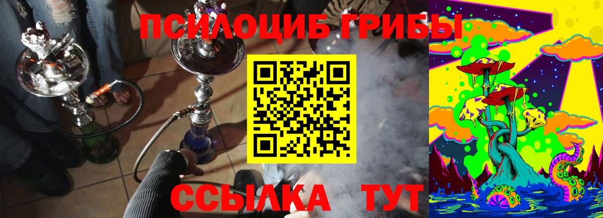 Псилоцибиновые грибы GOLDEN TEACHER Ачинск
